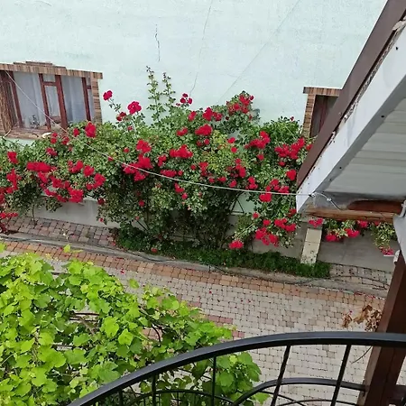 відпочинок у євгена та оксани Guest house Yaremche