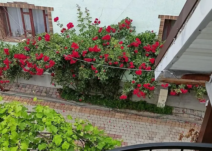 відпочинок у євгена та оксани Гостевой дом Яремча